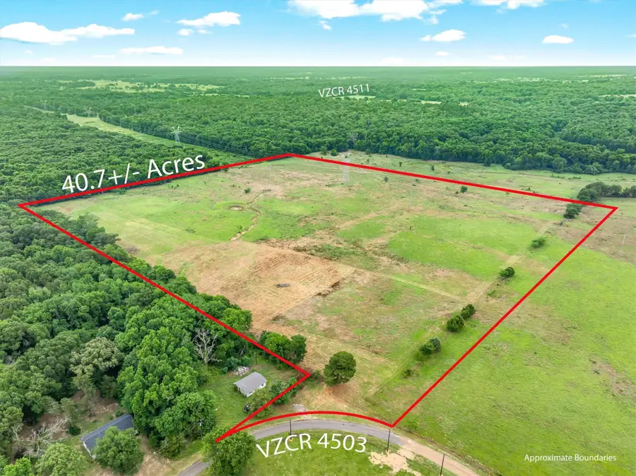 40.72 Acres Vz County Road 4503, Ben Wheeler, TX 75754 - #2