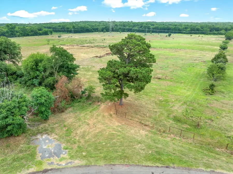 40.72 Acres Vz County Road 4503, Ben Wheeler, TX 75754 - #3