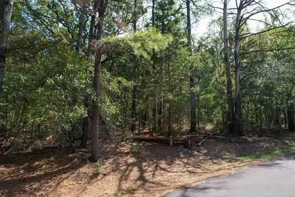 18 Angelina St, Mount Vernon, TX 75457