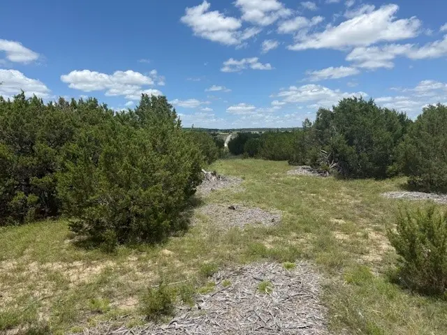 1320 Private Road 16021, Jonesboro, TX 76538 - #2