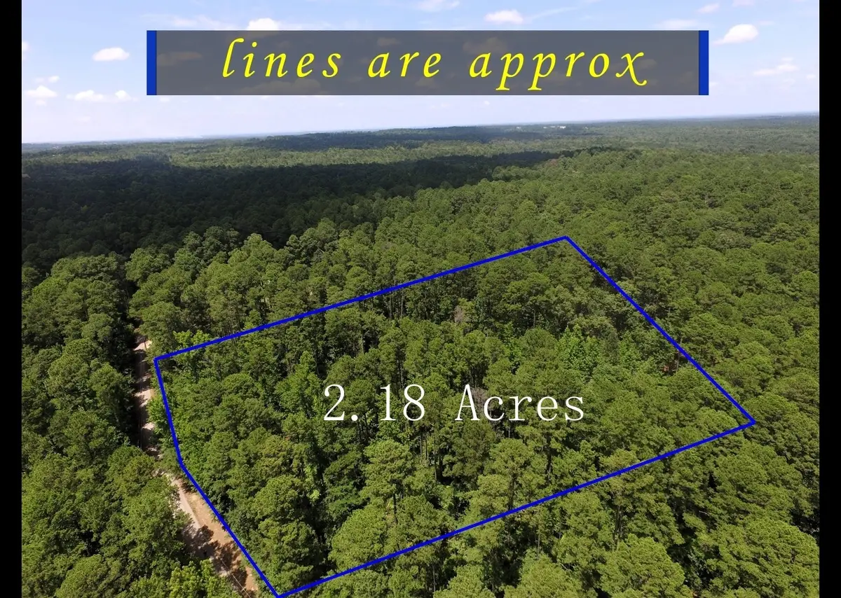 Tbd Private Road 8565, Winnsboro, TX 75494 - #1