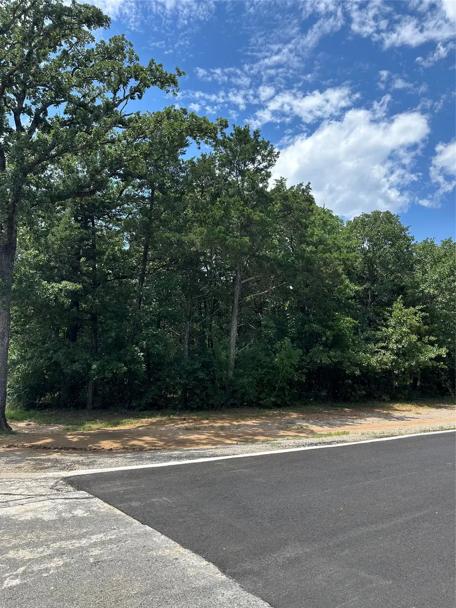 13 Castle, Gordonville, TX 76273 - #3