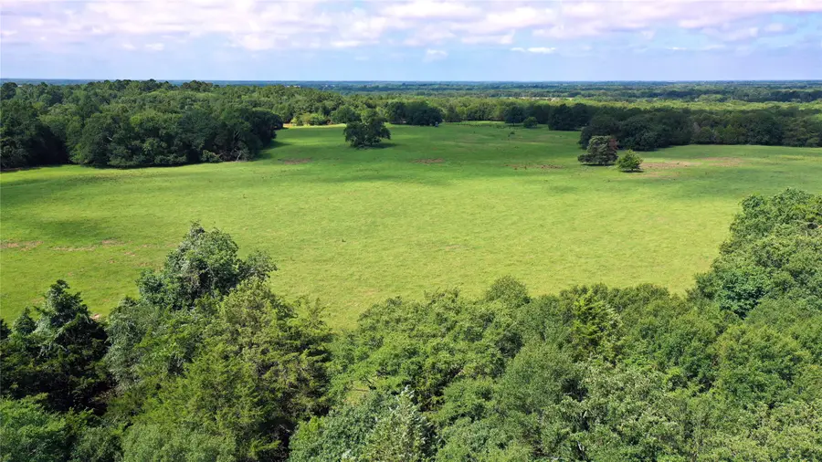 TBD County Road 4090, Kerens, TX 75144 - #3