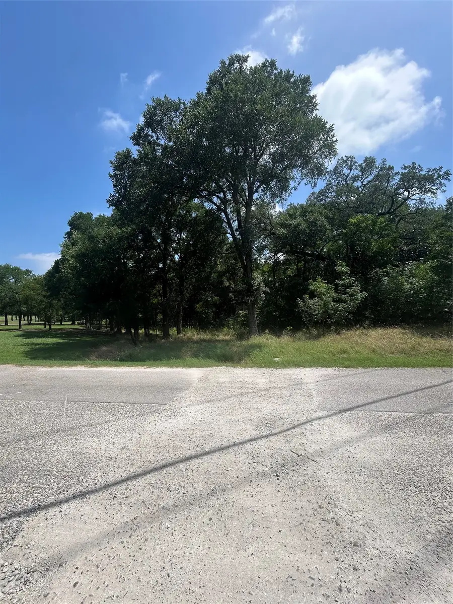 13011 Crestwood Drive, Whitney, TX 76692 - #2