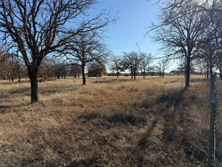 TBD Private Road #1403, Morgan, TX 76671 - #3
