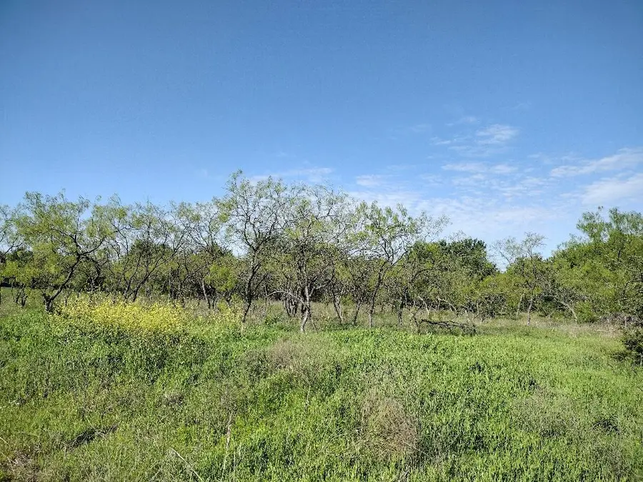 4007 Vista Oak, Royse City, TX 75189 - #2