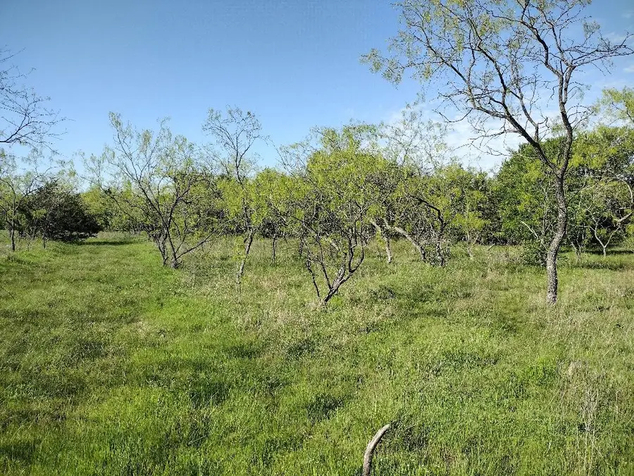 4007 Vista Oak, Royse City, TX 75189 - #3