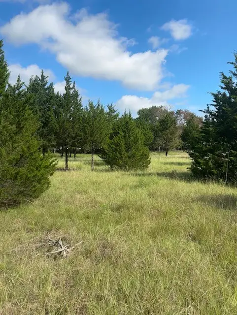 124 Summerall Lane, Red Oak, TX 75154 - #2