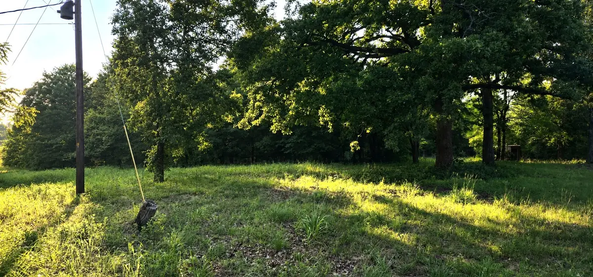 14598 County Road 1122, Athens, TX 75751 - #1