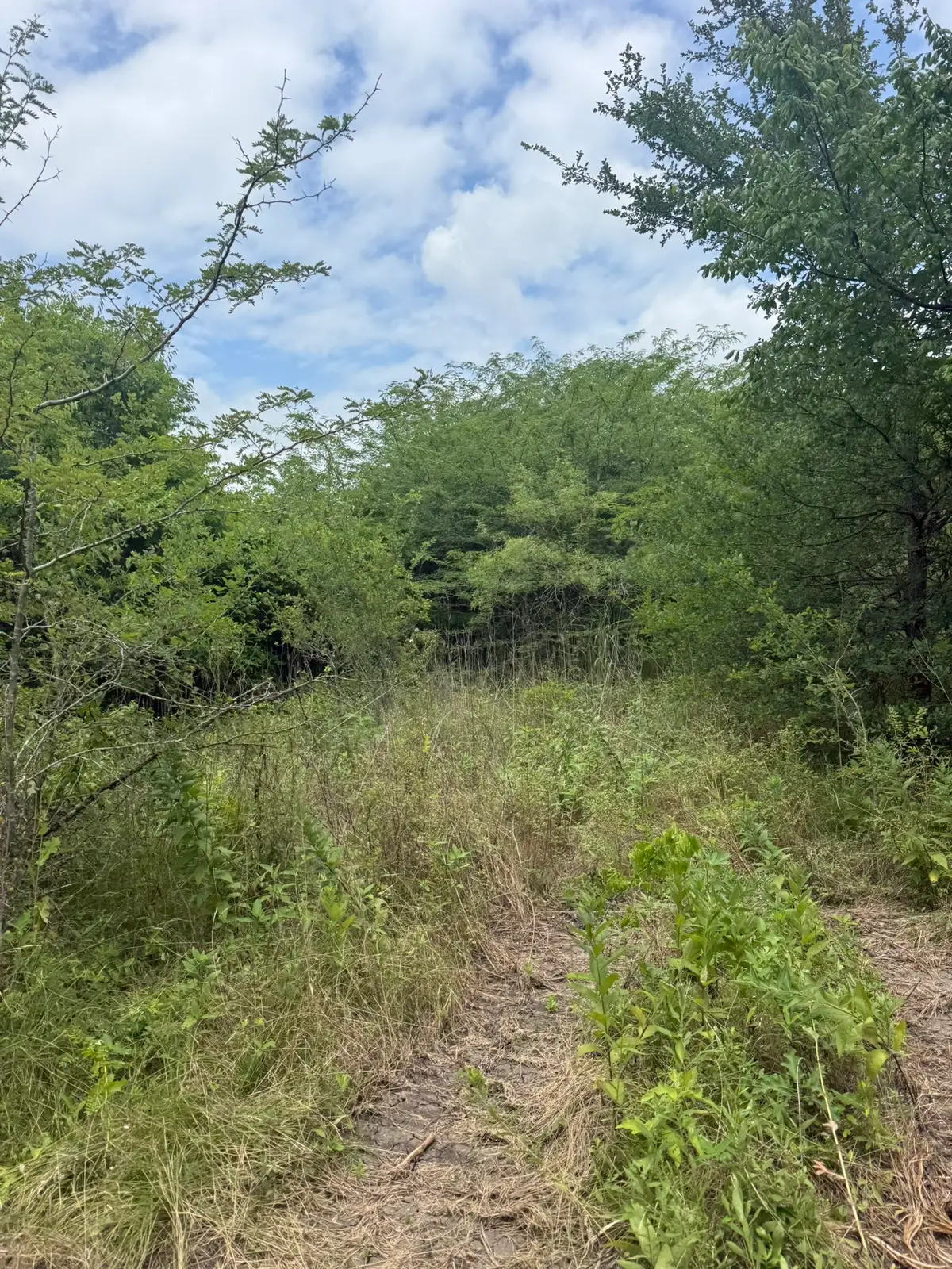 TBD 1.5 Mcknight, Ellis, TX 75125 - #1