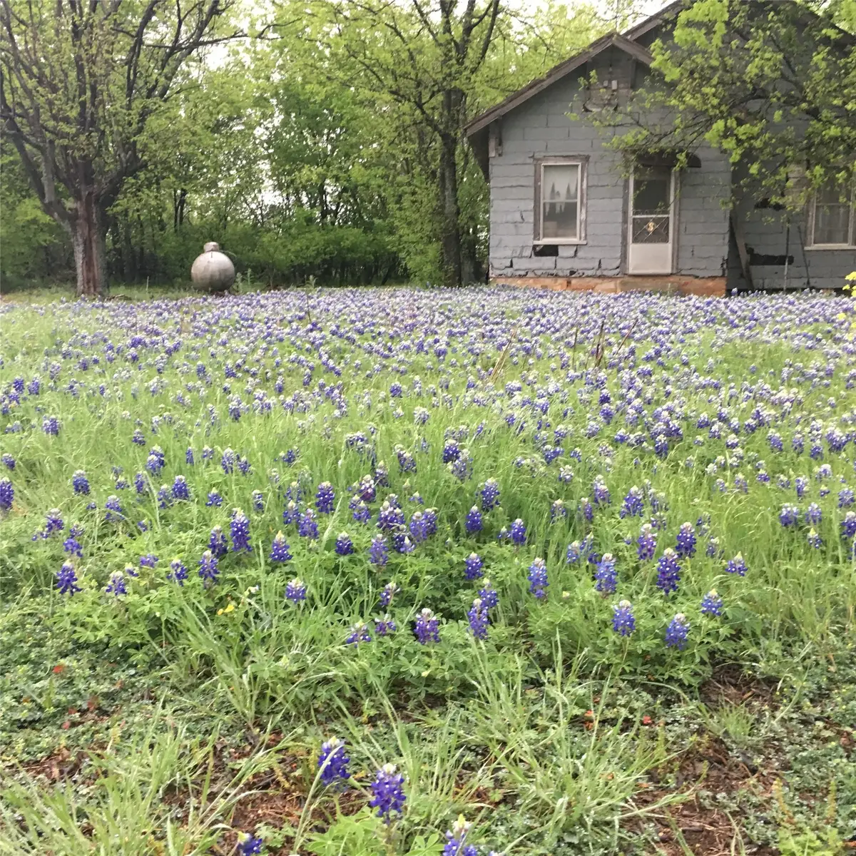 1054 Cr 3415, Clifton, TX 76634 - #1