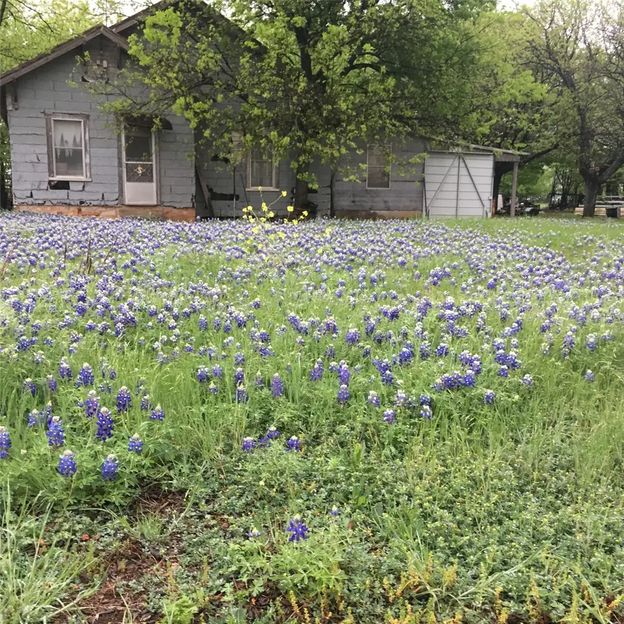 1054 Cr 3415, Clifton, TX 76634 - #2