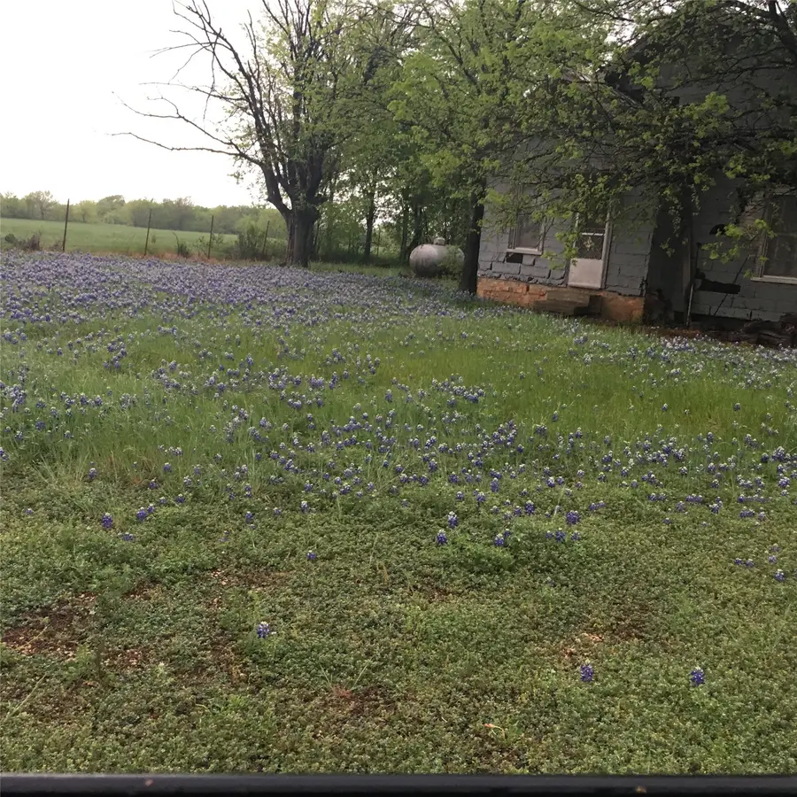 1054 Cr 3415, Clifton, TX 76634 - #3
