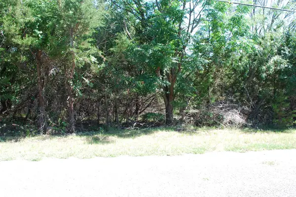 3045 Ash Court, Whitney, TX 76692