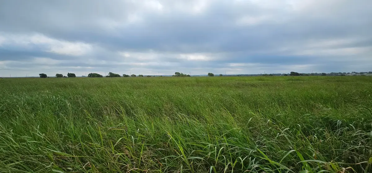 TBD St Hwy 81 Highway, Itasca, TX 76055 - #1