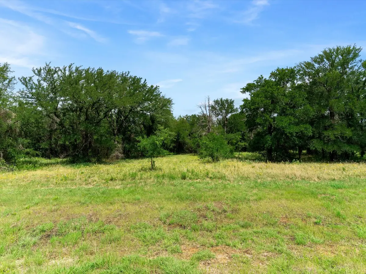 115 Pecan Grove Drive, Boyd, TX 76023 - #1