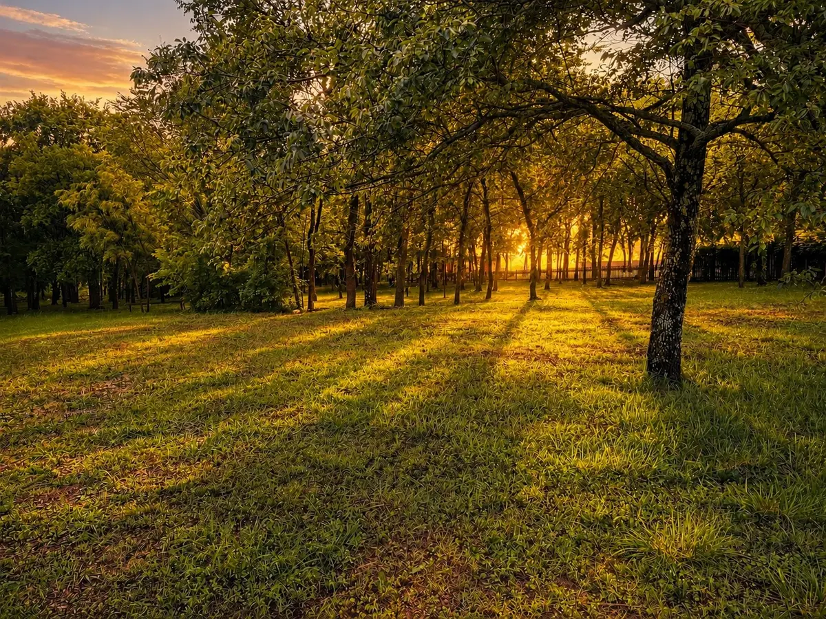 0000 Tee Taw Circle, Sherman, TX 75092 - #1