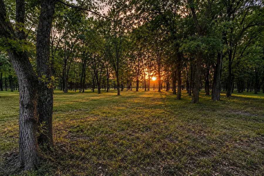 0000 Tee Taw Circle, Sherman, TX 75092 - #3