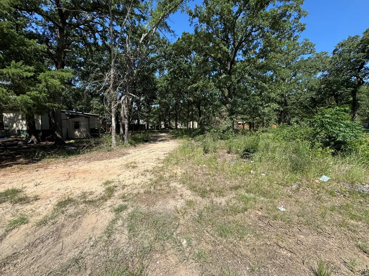 0 Mohican Trail, Mabank, TX 75156 - #1