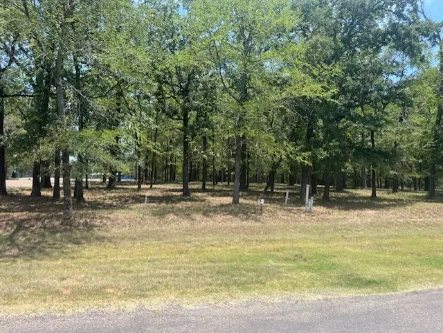 146 St Andrews Drive, Mabank, TX 75156 - #2