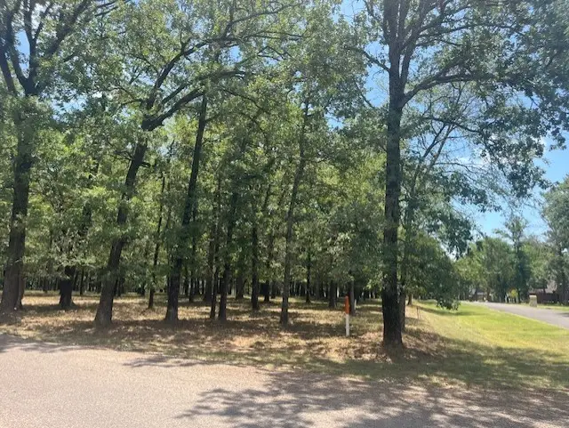 146 St Andrews Drive, Mabank, TX 75156 - #3