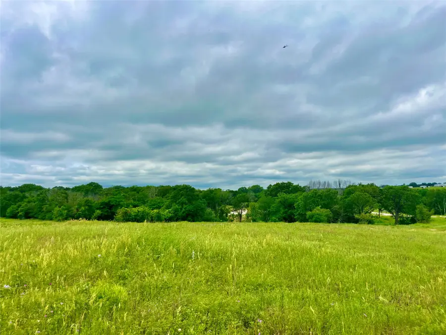 Lot 10 Clare Rd, Poolville, TX 76487 - #3