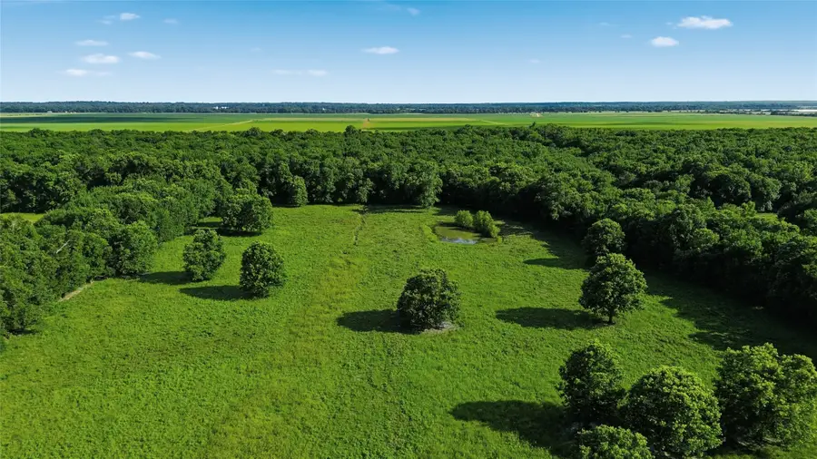 500 County Road 1300, Lake Creek, TX 75450 - #3