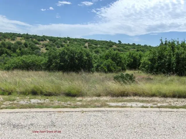TBD Royal Aberdeen Court, Graford, TX 76449 - #2