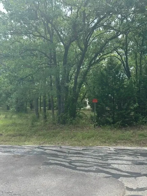 0 Nob Hill Road, Gun Barrel City, TX 75147 - #2
