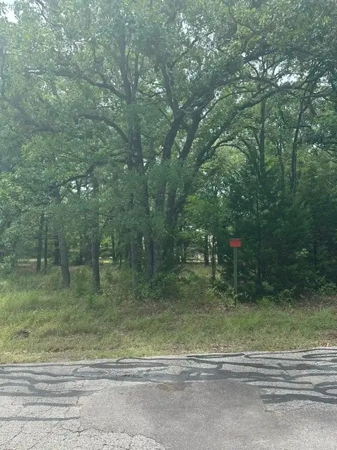0 Nob Hill Road, Gun Barrel City, TX 75147 - #3
