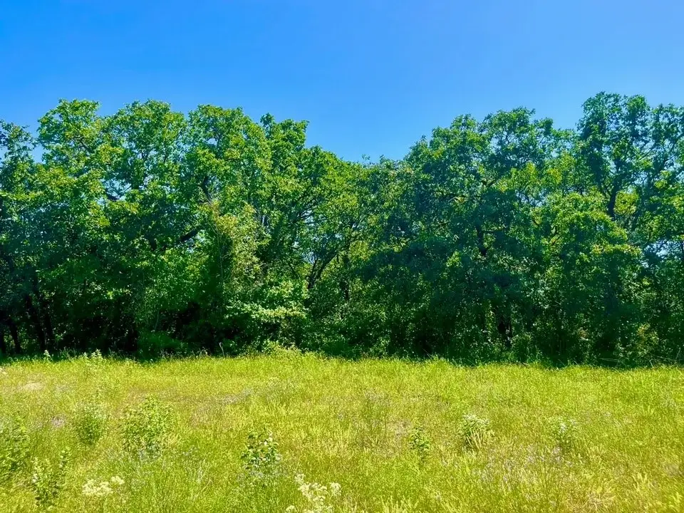 Lot 40 Kilkenny Road, Poolville, TX 76487 - #1