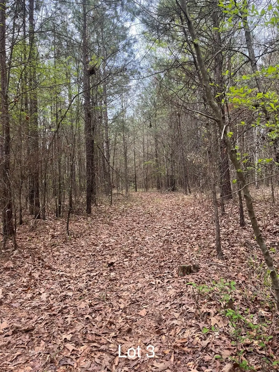 0 Crouch Road #3, Benton, LA 71006 - #1