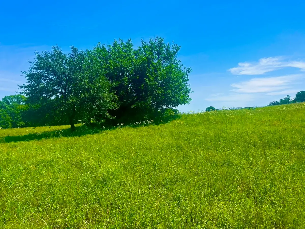Lot 102 Arlow Road, Poolville, TX 76487 - #1