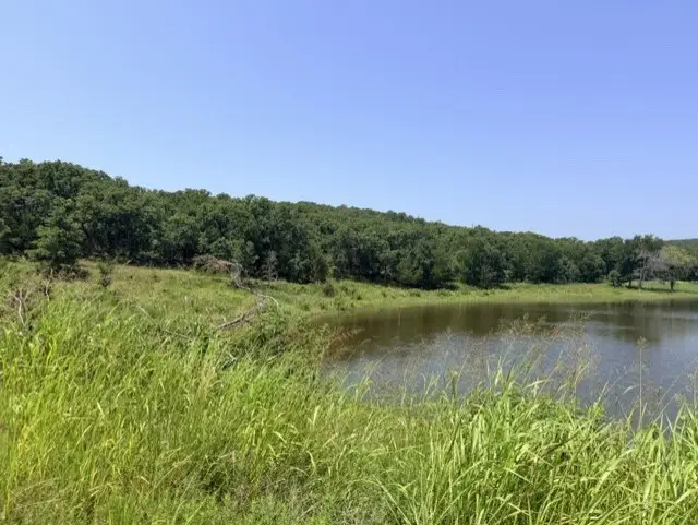 TBD Creekside, Bowie, TX 76230 - #3