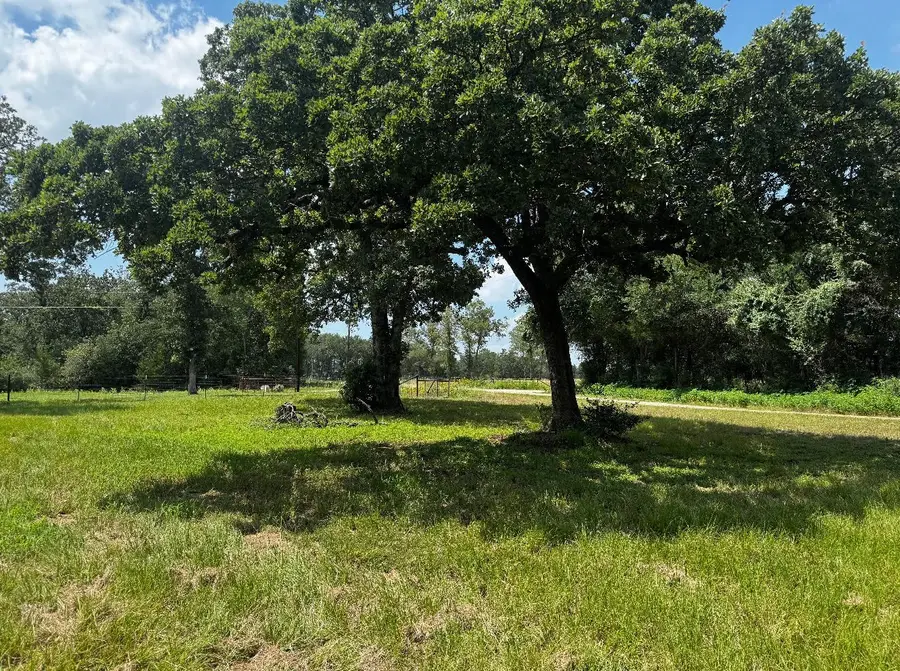 283 County Road 269, Kosse, TX 76653 - #2