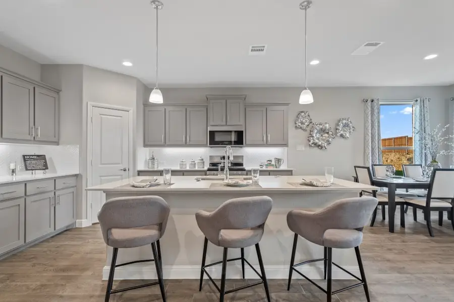 17140 Manzanilla Drive, Justin, TX 76247 - #3