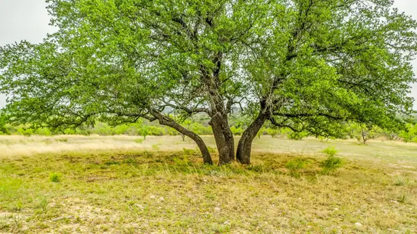 Lot 3 County Road 322, Blanket, TX 76432