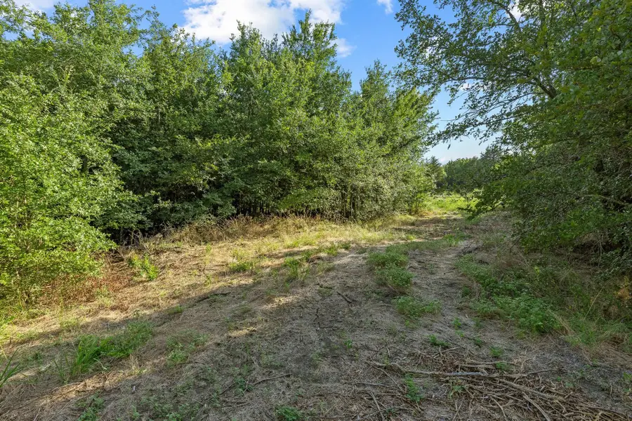 TBD N Pecan St/u.s. Highway 69, Bells, TX 75414 - #3