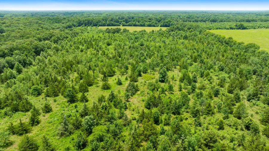 000 Cr 1357, Clarksville, TX 75426 - #3