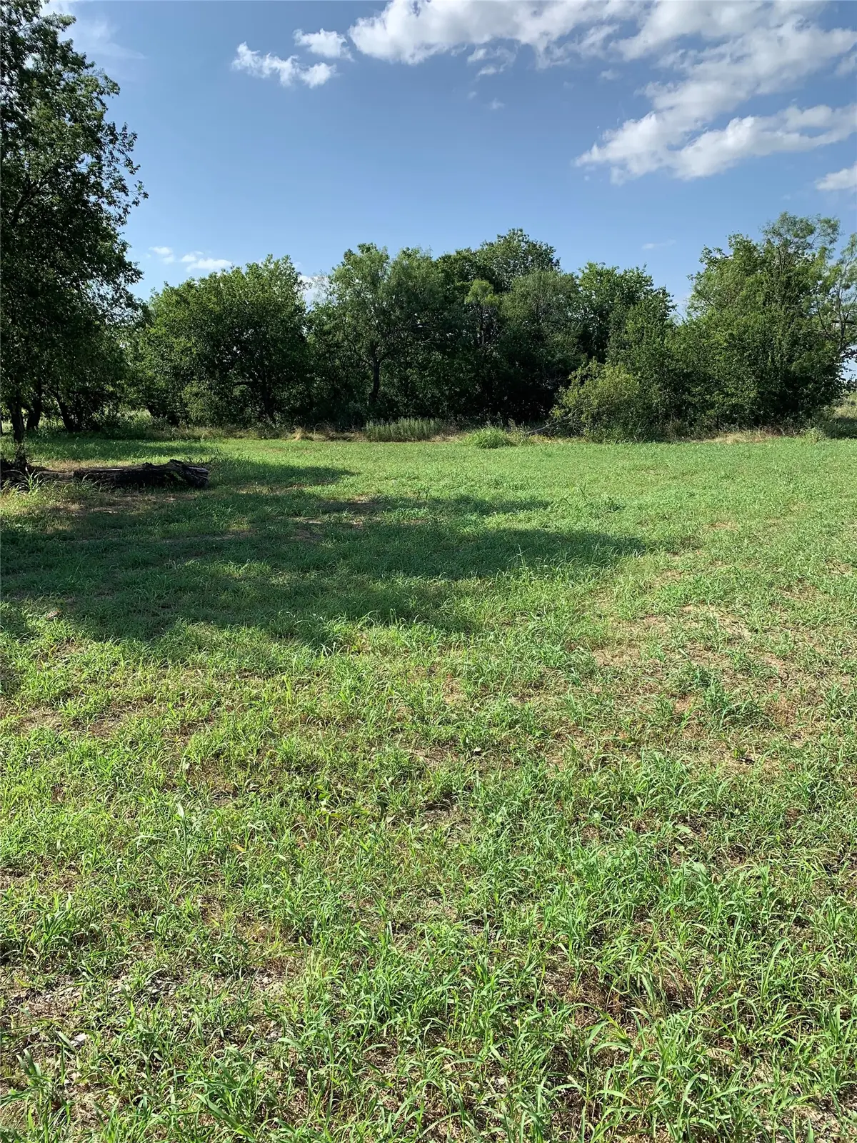 175 Cumberland Trail, Runaway Bay, TX 76426 - #1