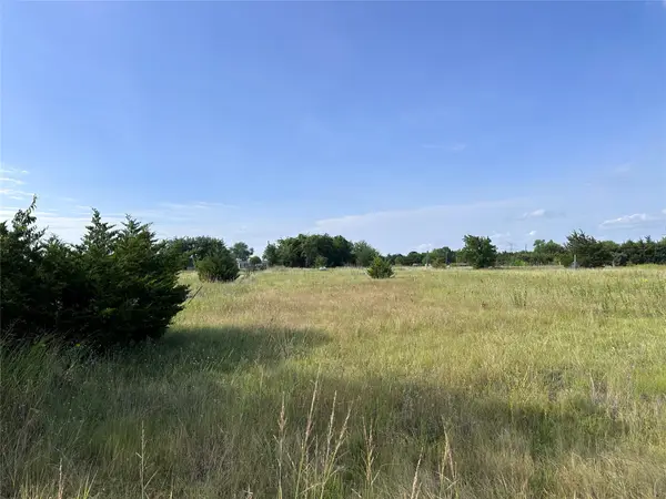 Lot 2R County Road 1077 #1.075 acre, Farmersville, TX 75442