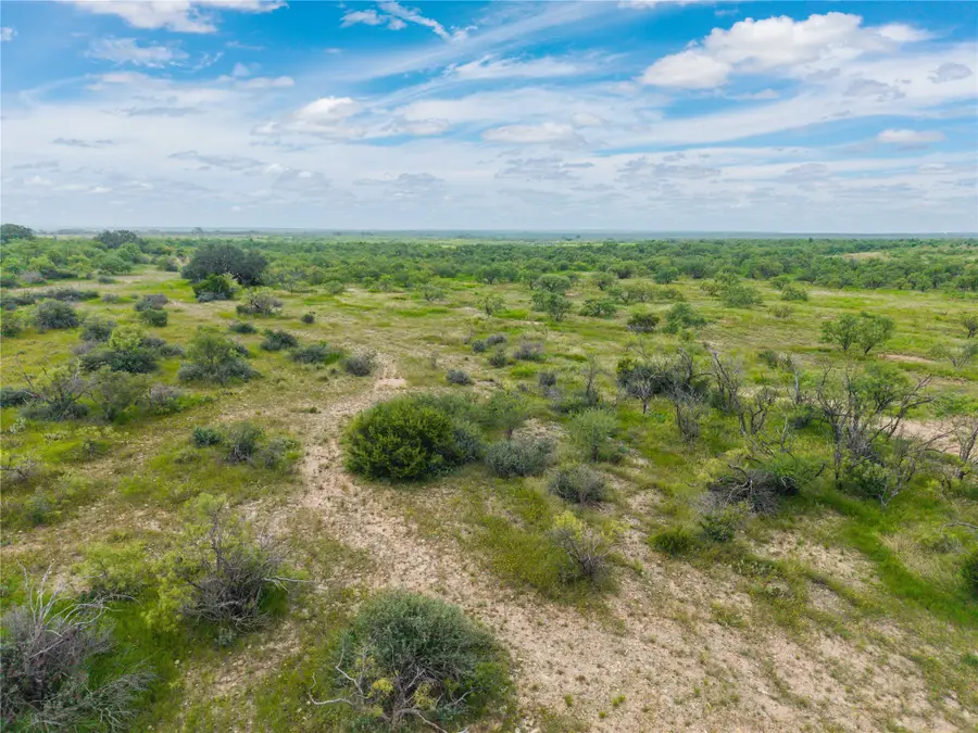 1050 County Road 258, Santa Anna, TX 76878 - #3