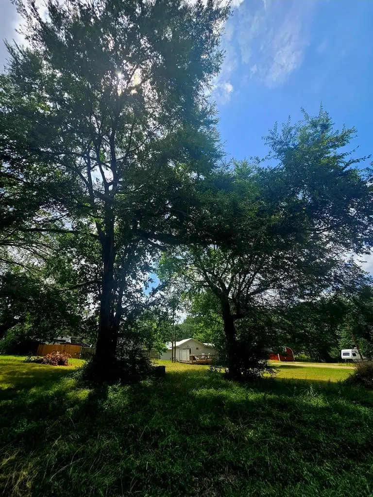 TBD Tanglewood Drive, Mabank, TX 75156 - #1