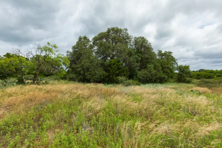 17156 County Road 225, Clyde, TX 79510 - #3