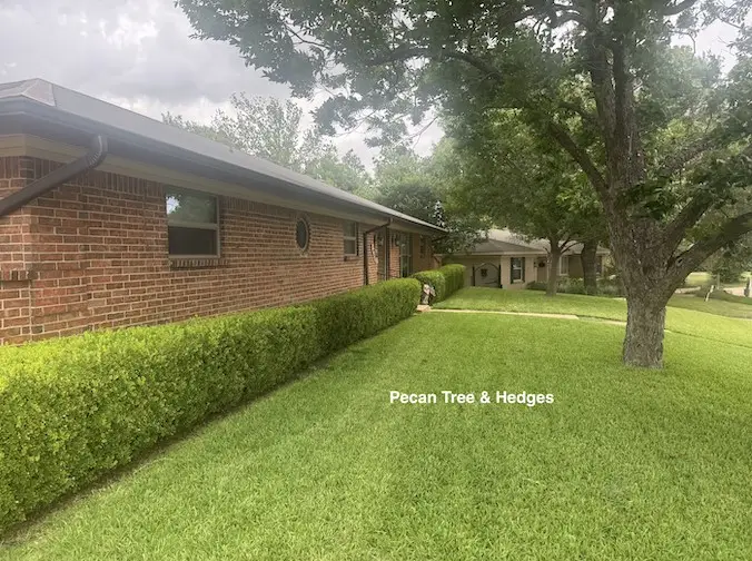 3908 Dawn Drive, Benbrook, TX 76116 - #2