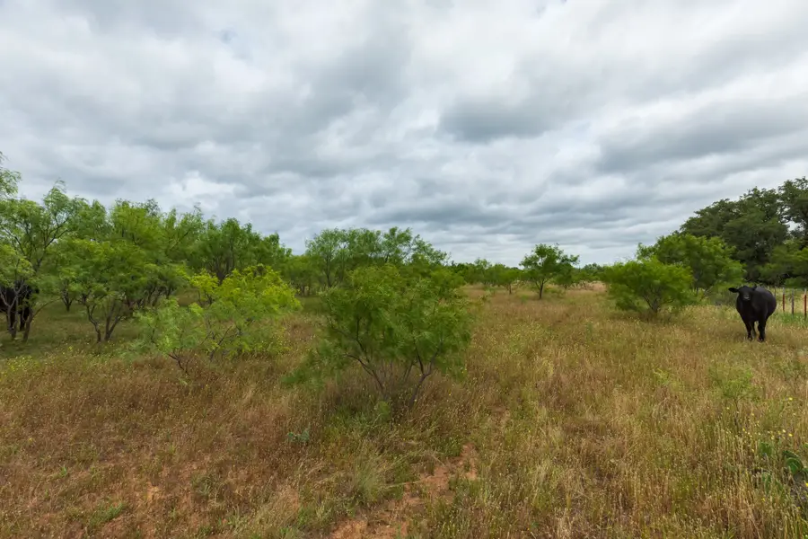 TBD Cr 255, Oplin, TX 79510 - #2