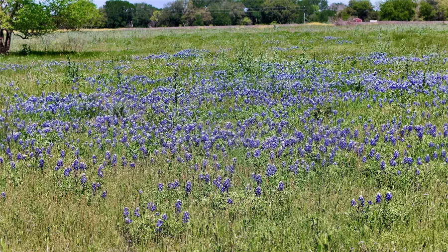 2031-01 County Road 3310, Valley Mills, TX 76689 - #2
