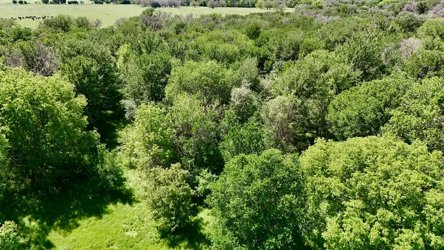 2031-02 County Road 3310, Valley Mills, TX 76689 - #2