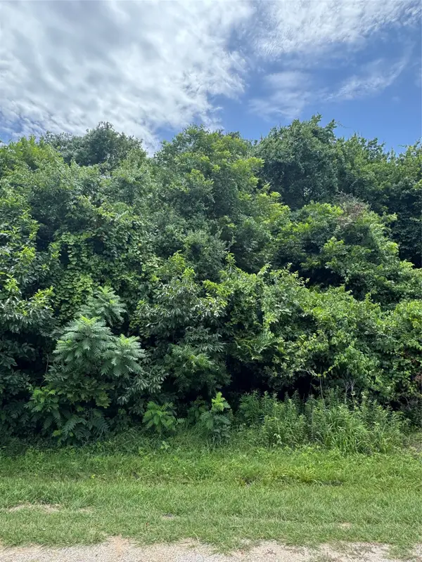 12207 Rolling Oaks Drive, Whitney, TX 76692