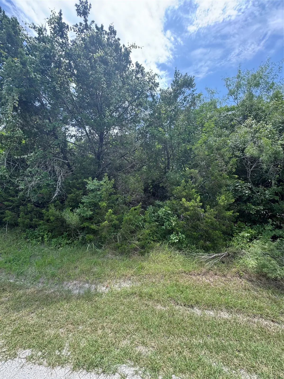 12208 Rolling Oaks Drive, Whitney, TX 76692 - #1